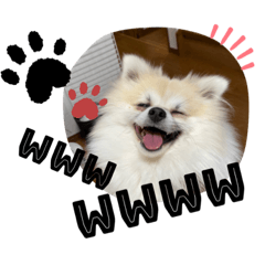 smile_20220322061949