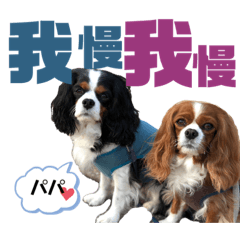 KAORI_20220322132500