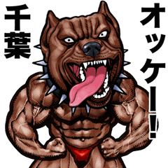 Chiba dedicated Muscle macho animal