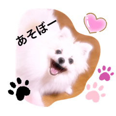 smile_20220321135851