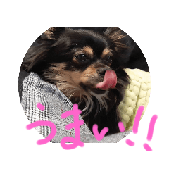 ICHIMATU sticker. Modified version.