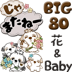 【Big】シーズー犬 80『Baby & 花』