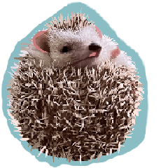 Baby_Hedgehog