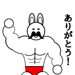 rabbit muscle uncle