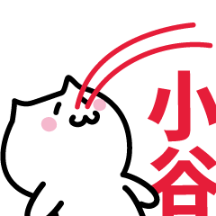 LAST NAME Sticker KOTANI !!!