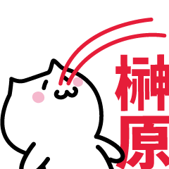 LAST NAME Sticker SAKAKIBARA !!!