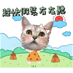 小胖子們(˶‾᷄ ⁻̫ ‾᷅˵)