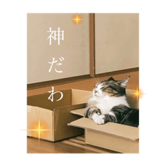 miyuu_20220321183218