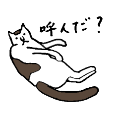 Japanese cat teacher