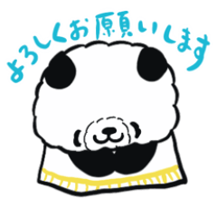 Panda, an adult who speaks honorifics