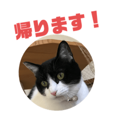 granpa_20220322172351