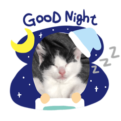 nanami_20220322173056