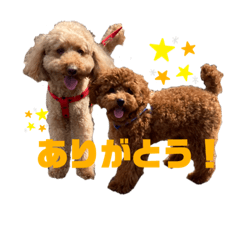 miyuu_20220322174059