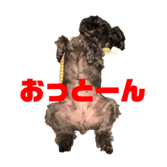 あずきとぅんすたんぷ