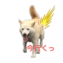 omayu_20220322210211
