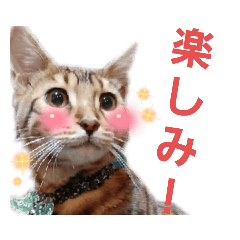 HANA_20220322215322