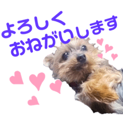 yuka_20220323002854