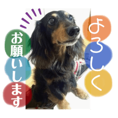 ayumi_20220323020055