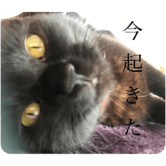 maichi_20220323001835