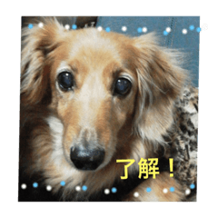 paty-kun