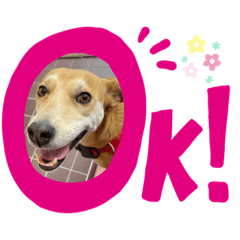 Arisa_20220322180257