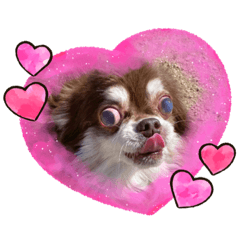 Ayumi_20220322165738