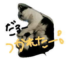 Hachikun..
