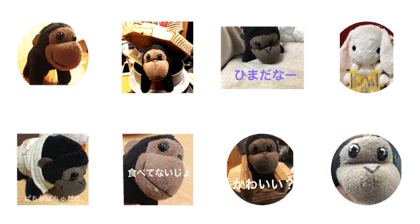 gori-chan