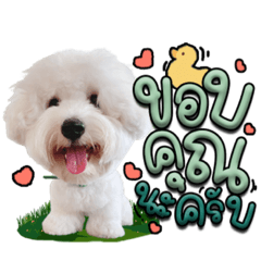 Iamnook_20220323080602