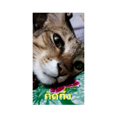 kero_20220323080100