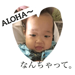 kota uesaka2