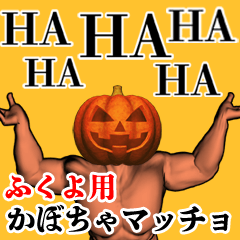 Fukuyo Pumpkin macho