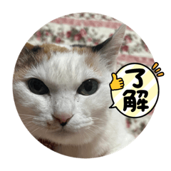 yuka_20220322202056