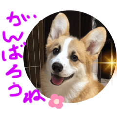 JACK_20220323142451