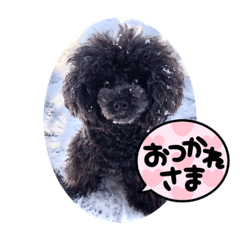 miki_20220323124401