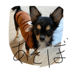 jack_20220323124854
