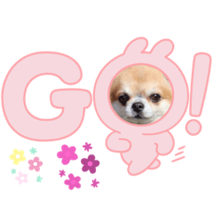 tomomi_20220322220358