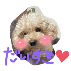 aoi_20220323163545