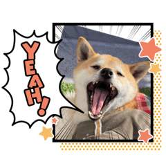 CHIE_20220323172119