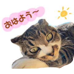 YUKARI_20220323174401