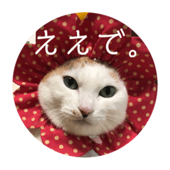 yuka_20220323204526