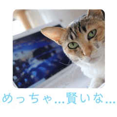 shunta hatanaka_20220323214048