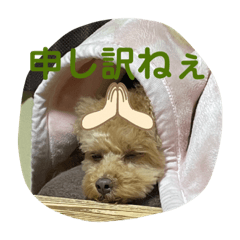 ringo_20220323215612
