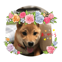 Rina_20220323224243