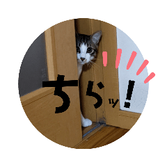 arisa_20220323225943