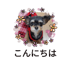 kaori_20220323232619