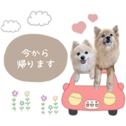 chanmi_20220323232713