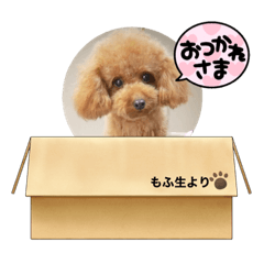 yuka_20220324011115