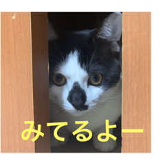 AOI_20220323142728