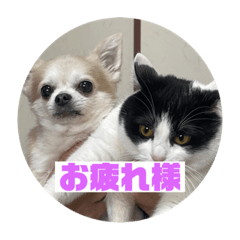 momoko_20220324085441